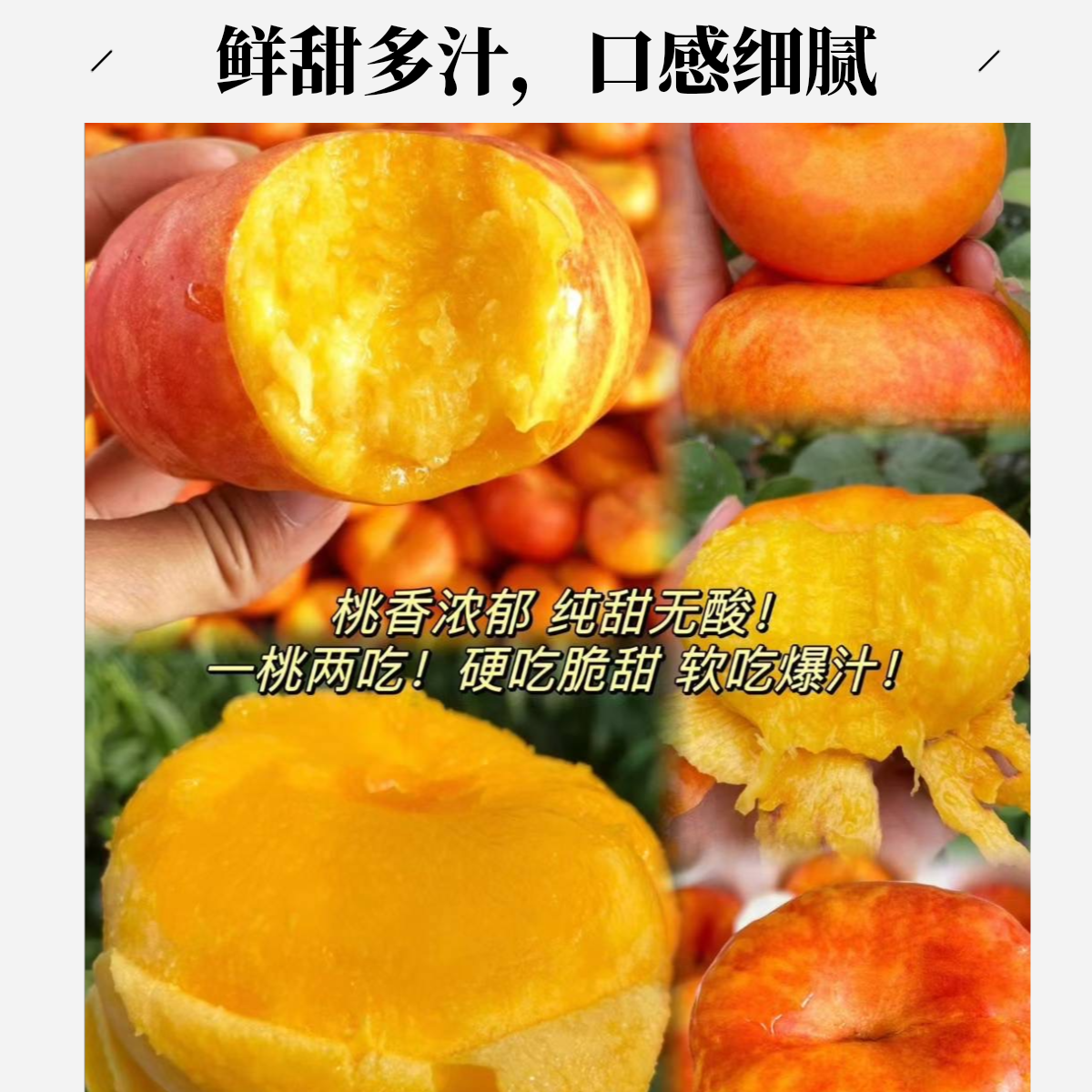 《平谷油蟠桃》桃地现场直发北京市