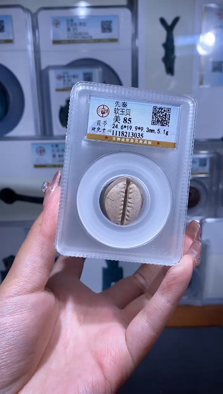 【闪购商品】铜品泉 齐地软玉贝