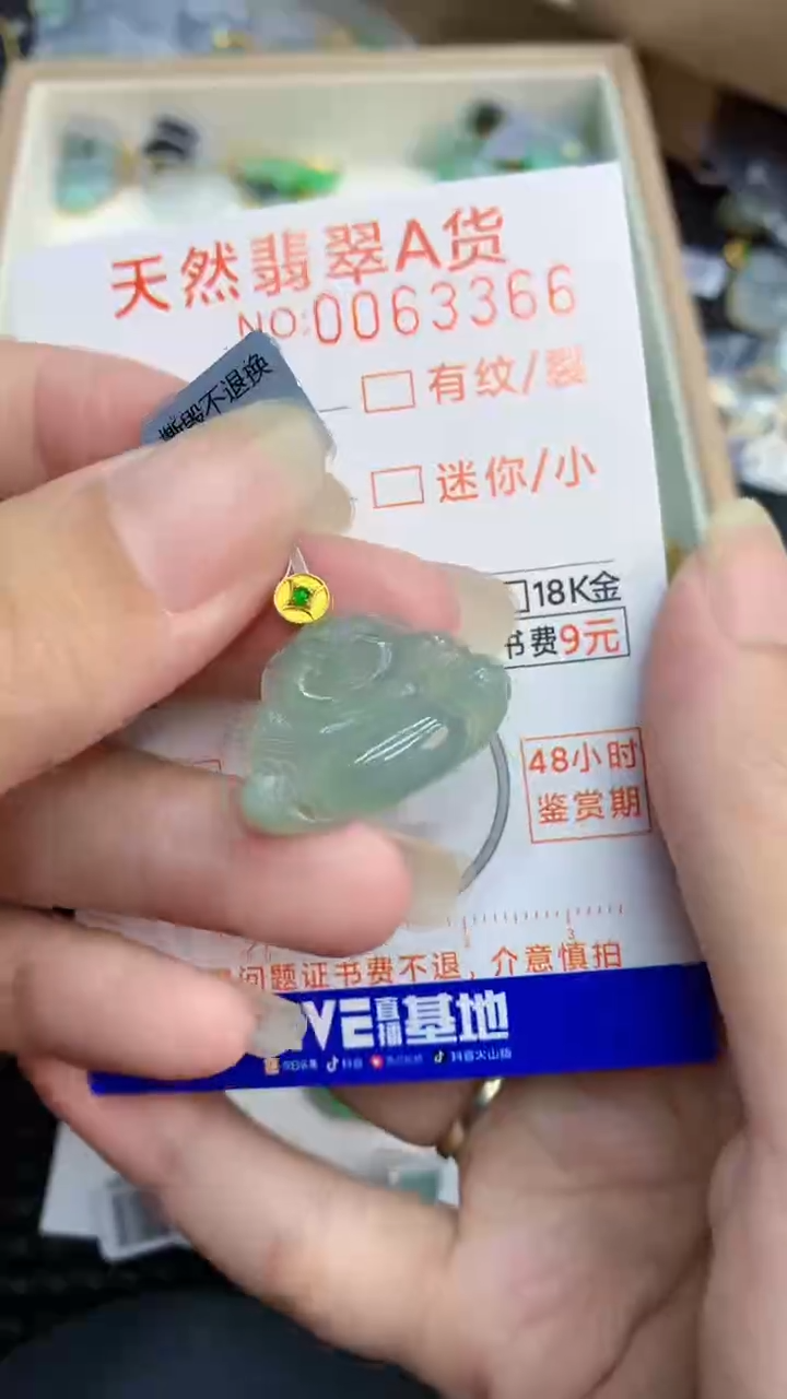 【闪购商品】翡翠颈饰18K金镶嵌           8