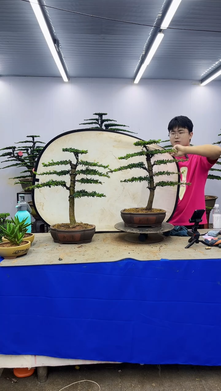 以实际为准一物一拍，所见即所得