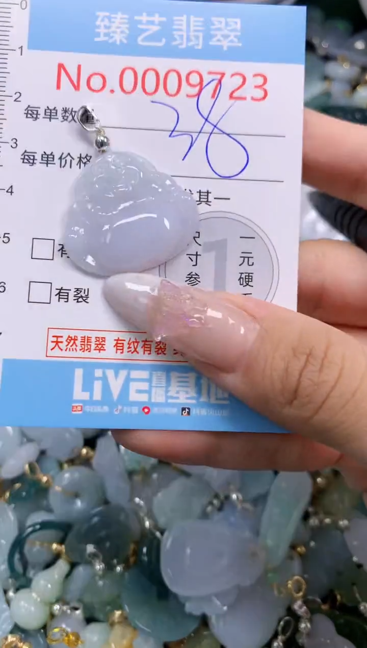 翡翠未镶嵌颈饰9723