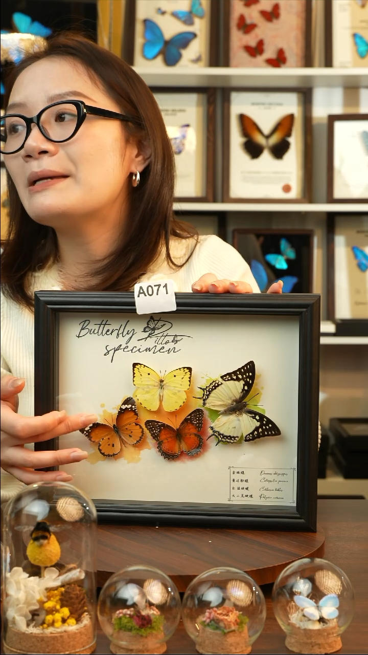 四色蝴蝶组合（10寸欧式黑框）A071