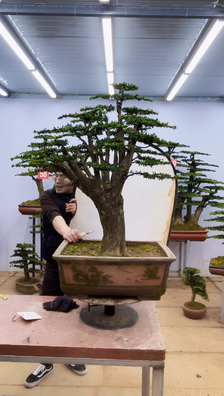 【闪购商品】一物一拍，所见即所得