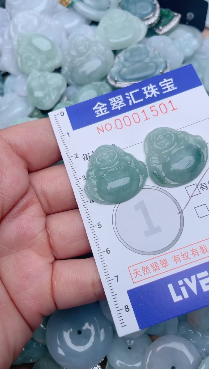 翡翠未镶嵌颈饰1501