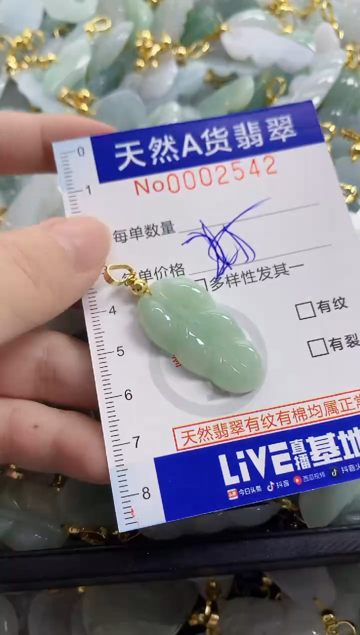 颈饰未镶嵌翡翠天然A货翡翠