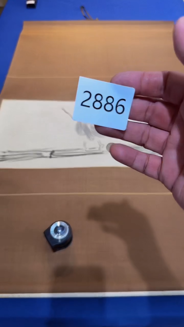 【闪购商品】日瓷直播间字画放漏中