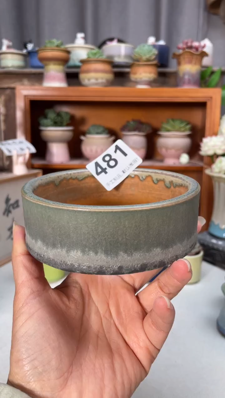 瓷片杏**片481小芳直播编号