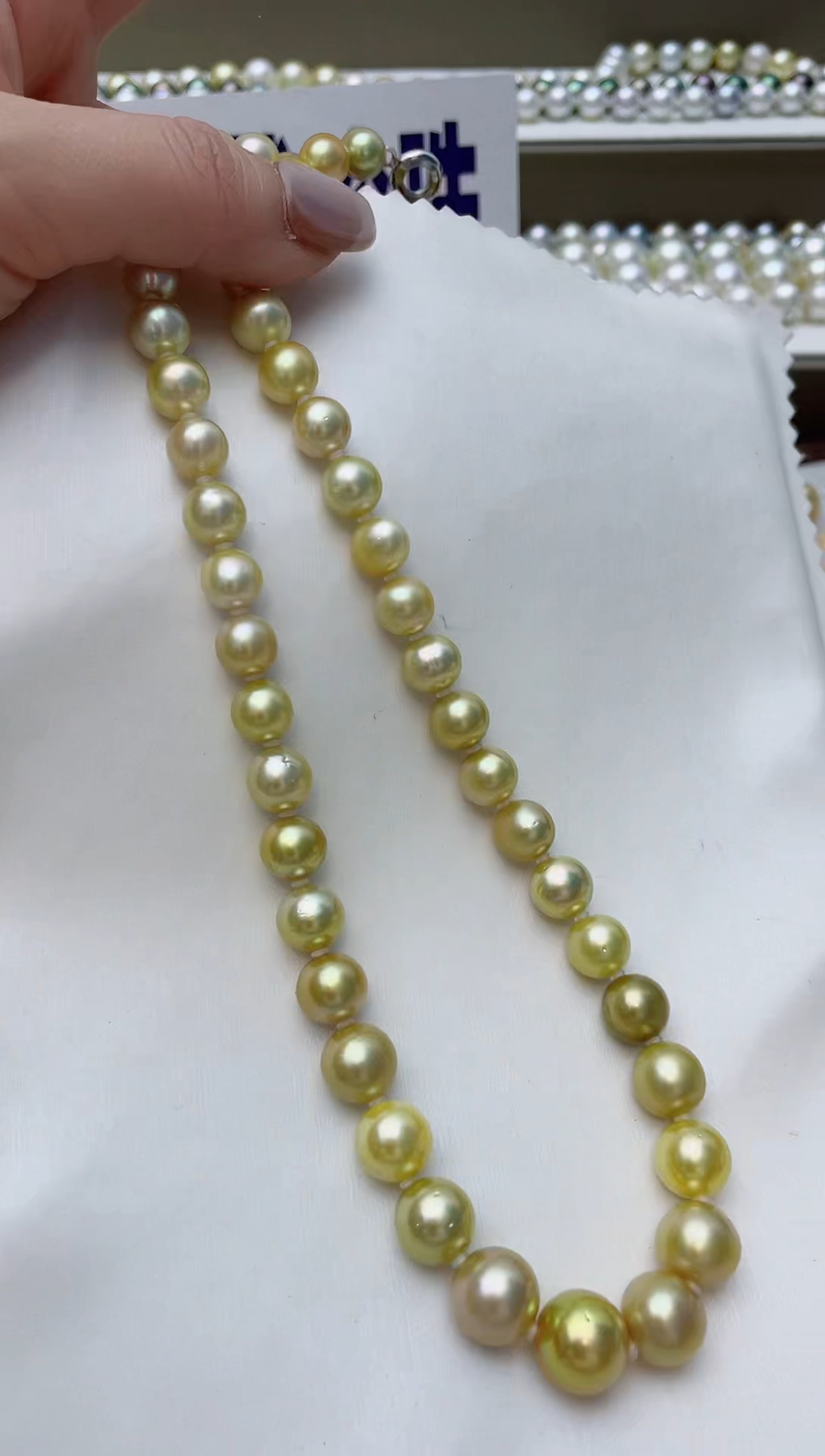 【闪购商品】海水珍珠颈饰未镶嵌A33