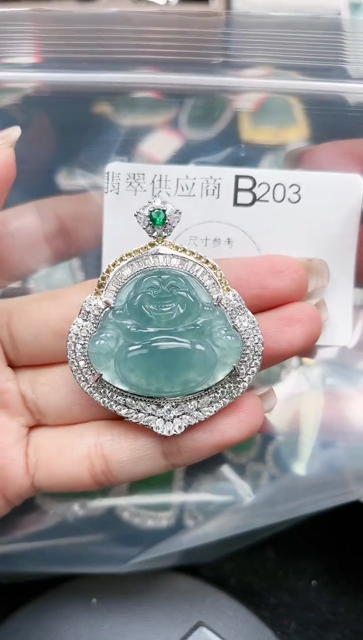 【闪购商品】翡翠颈饰未镶嵌203赠皮绳