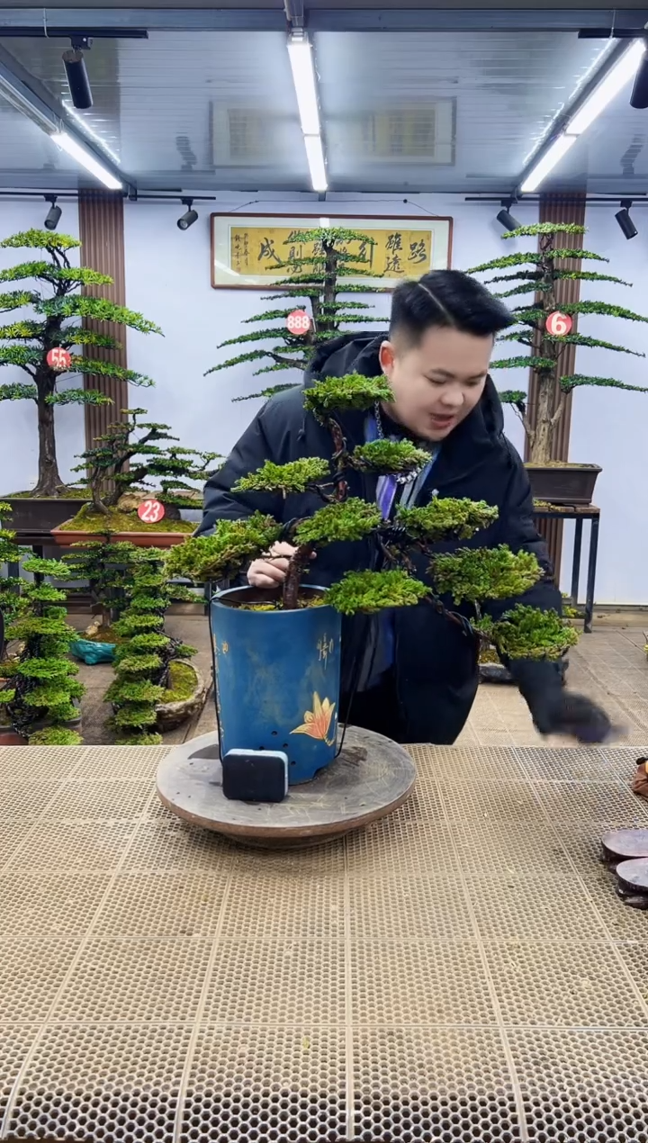 【闪购商品】0000000000