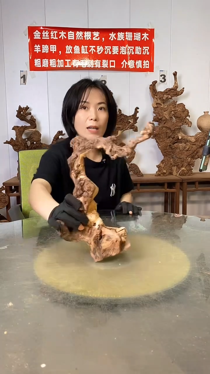 香榧木金丝红木  羊蹄甲