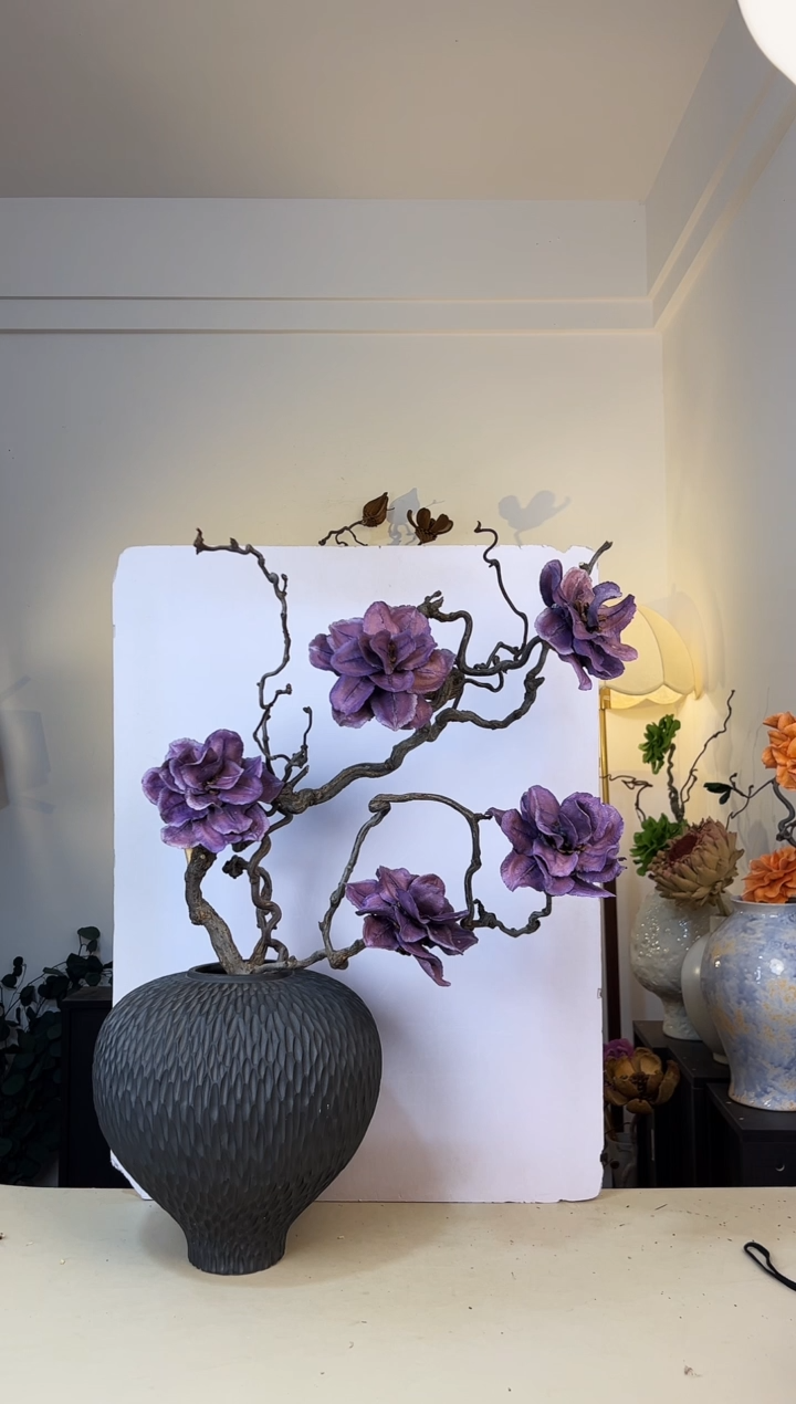 娜***?龙枣枝蓝花楹（特价不退不换）