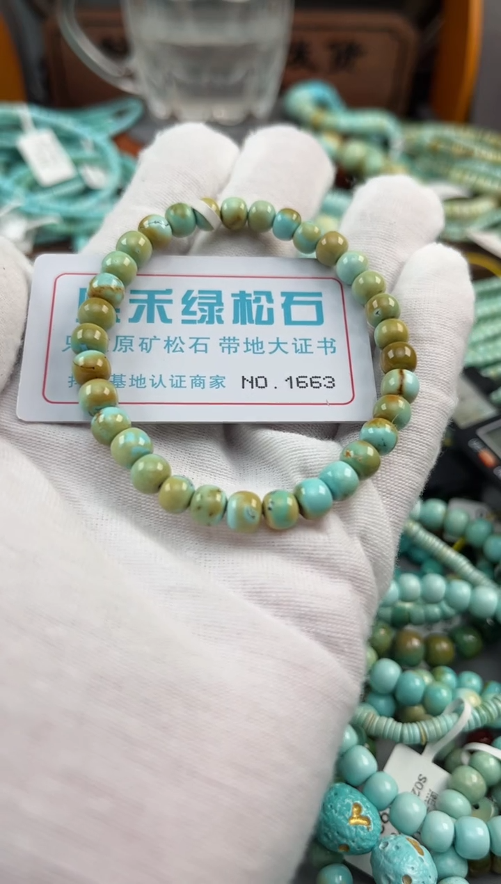 绿松石未镶嵌松石1663