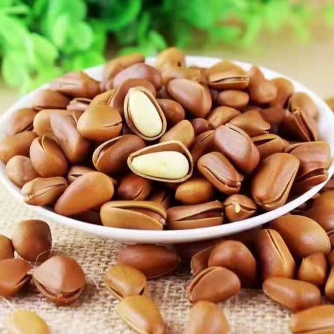 东北开口大松子850颗粒2~5斤