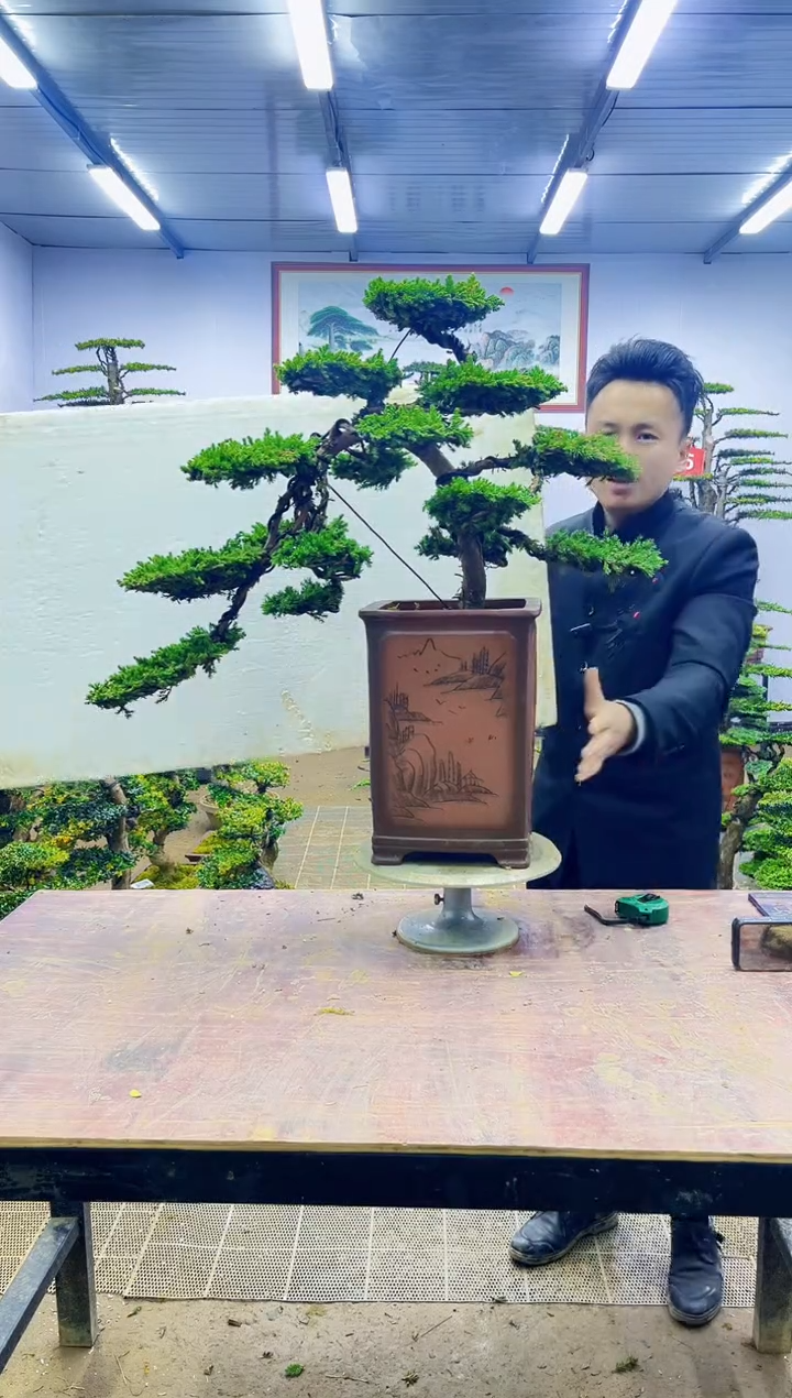 【闪购商品】一物一拍，所见即所得