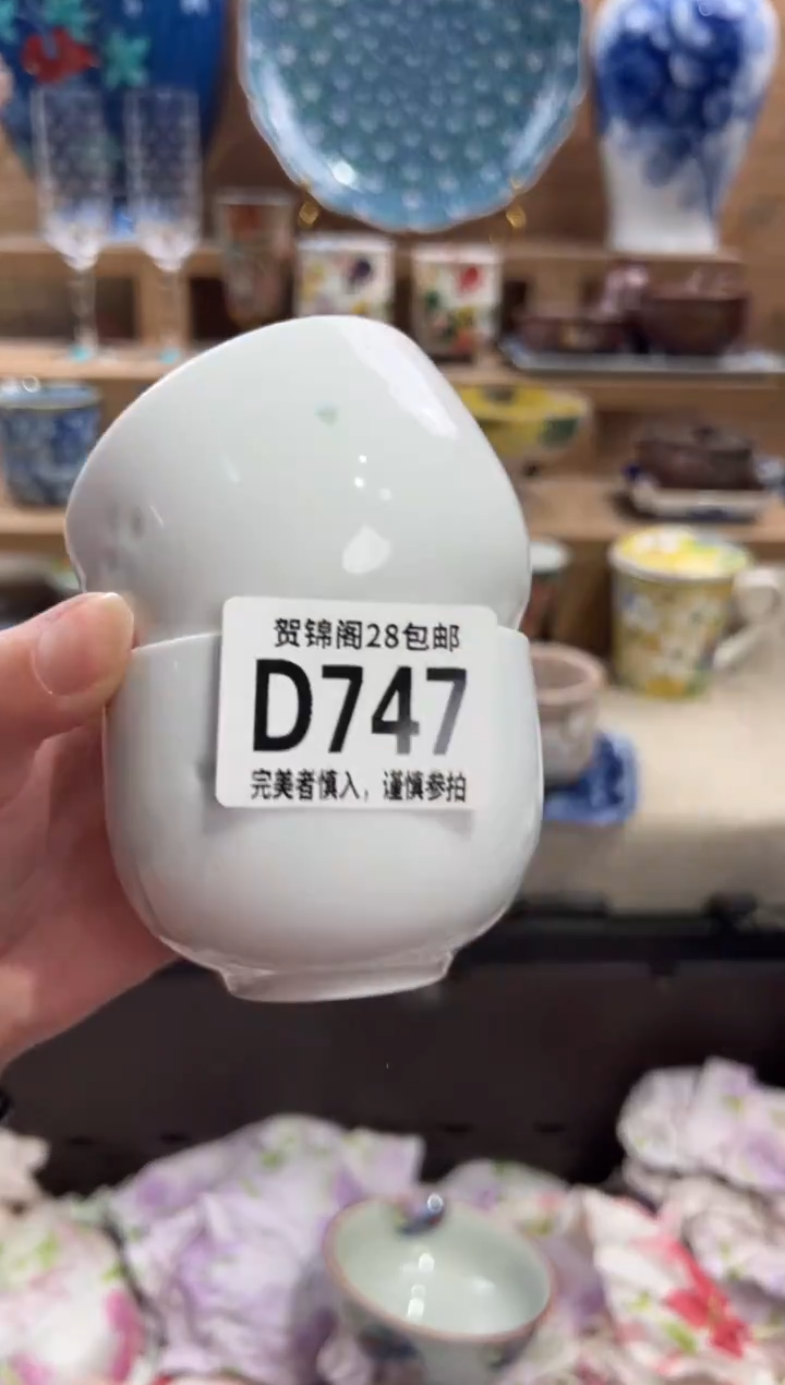 瓷片S**i      D747