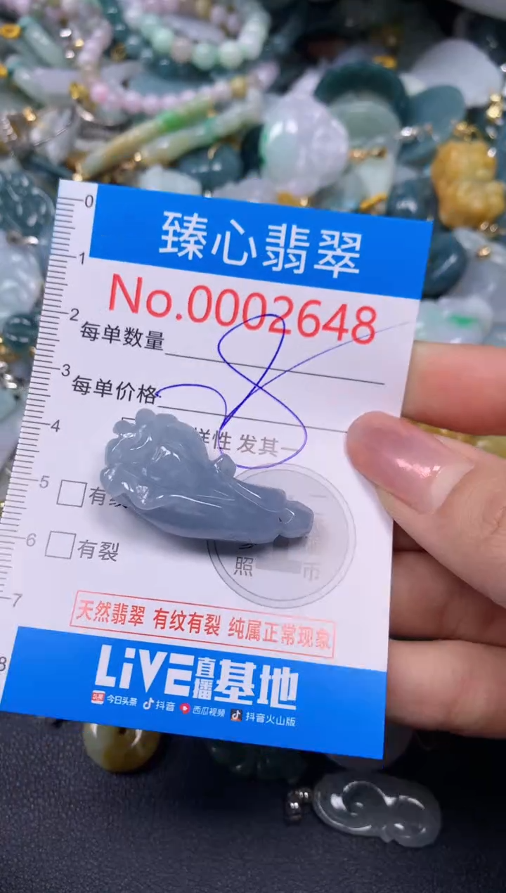 【闪购商品】翡翠颈饰未镶嵌含绳0002648