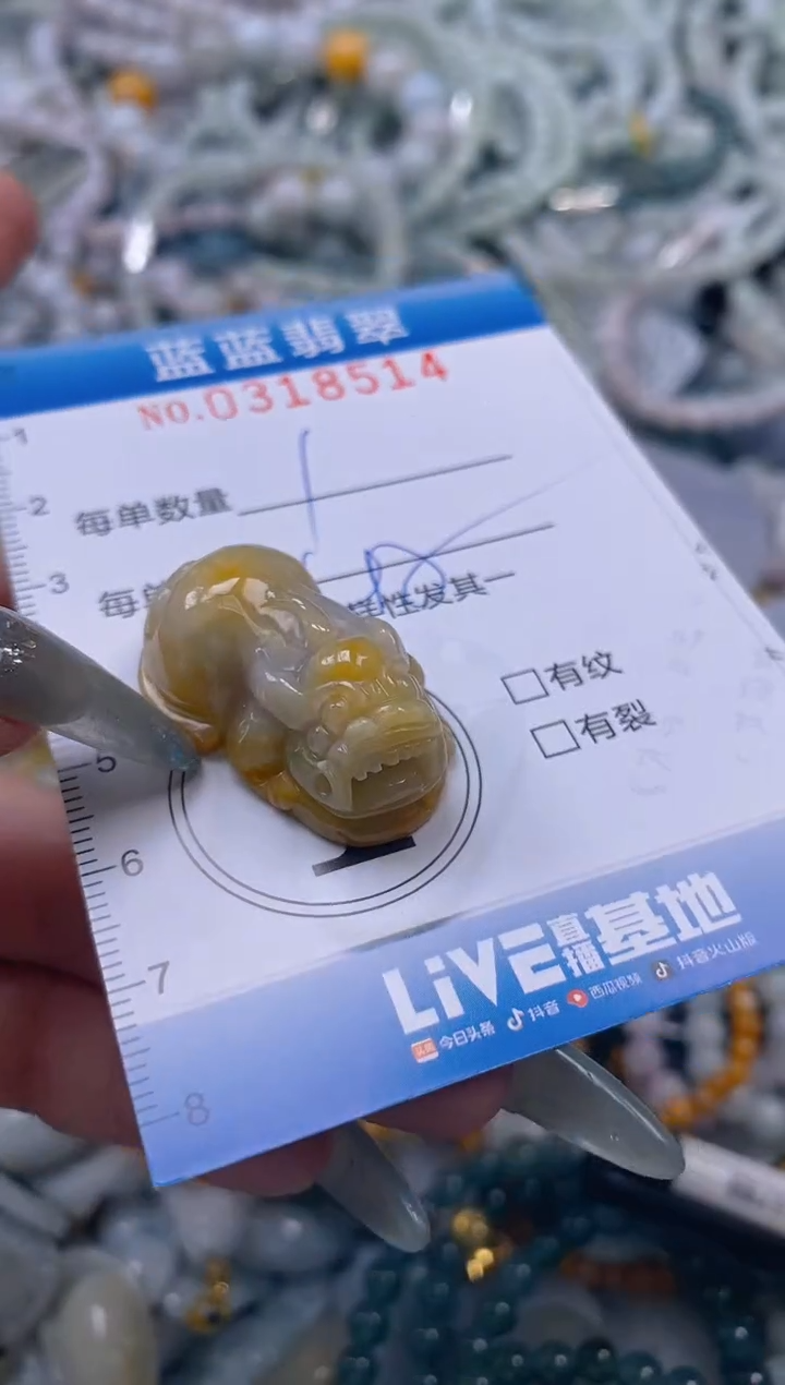 翡翠未镶嵌颈饰闪购0318514