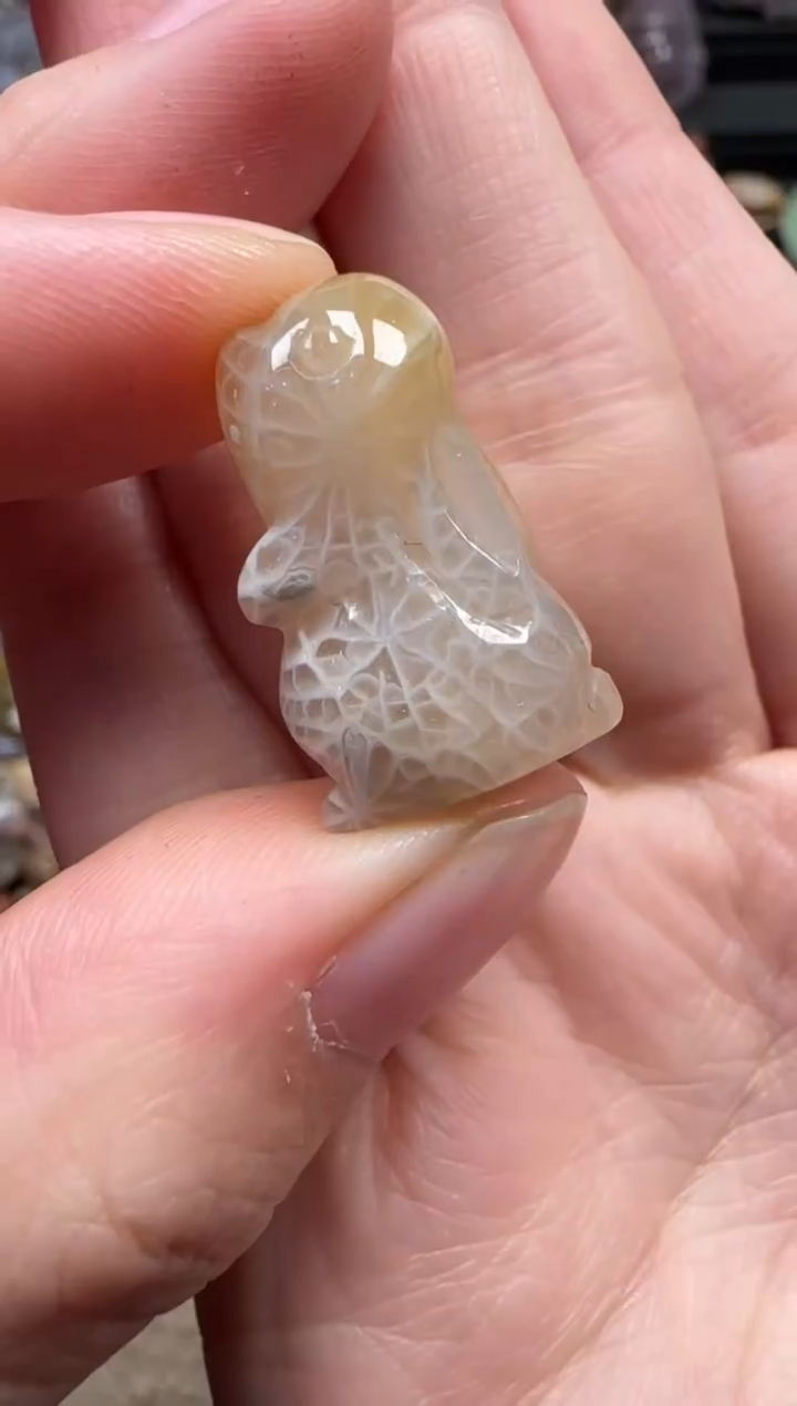 颈饰未镶嵌硅化珊瑚（珊瑚玉）776