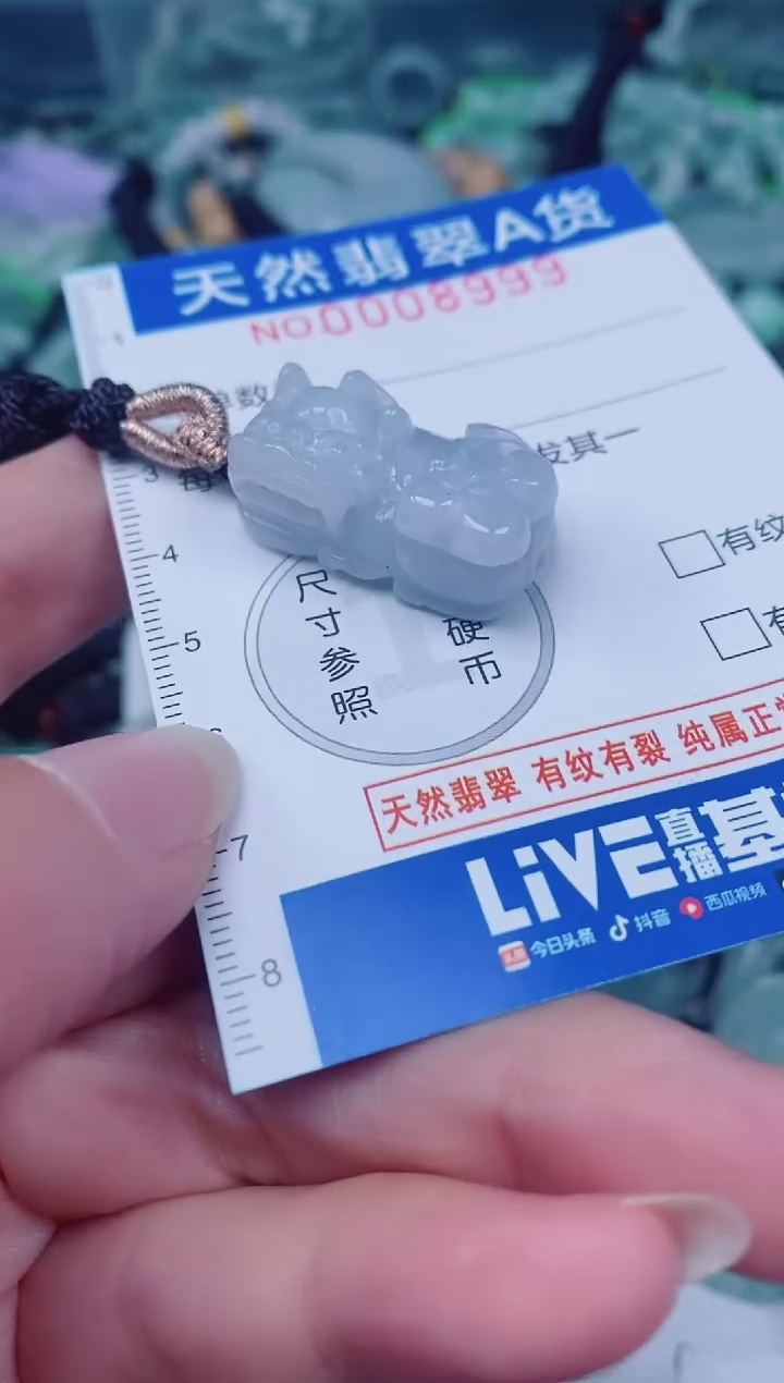 颈饰未镶嵌翡翠00008999