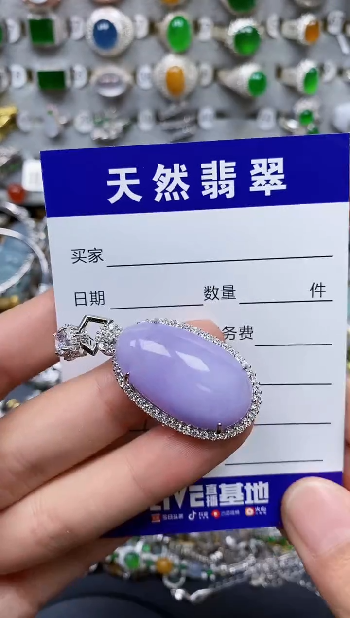 【闪购商品】翡翠颈饰银S925镶嵌0373