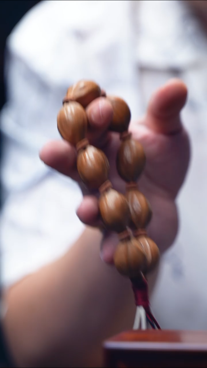 橄榄核手串/手链2.0【铁素核】