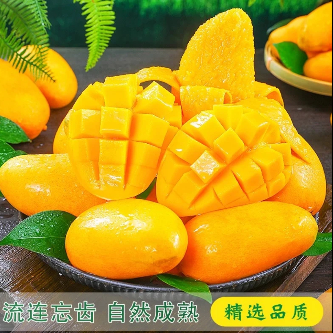 正宗海南芒果小台芒新鲜台农芒果香甜多汁热带水果现摘非贵妃金煌