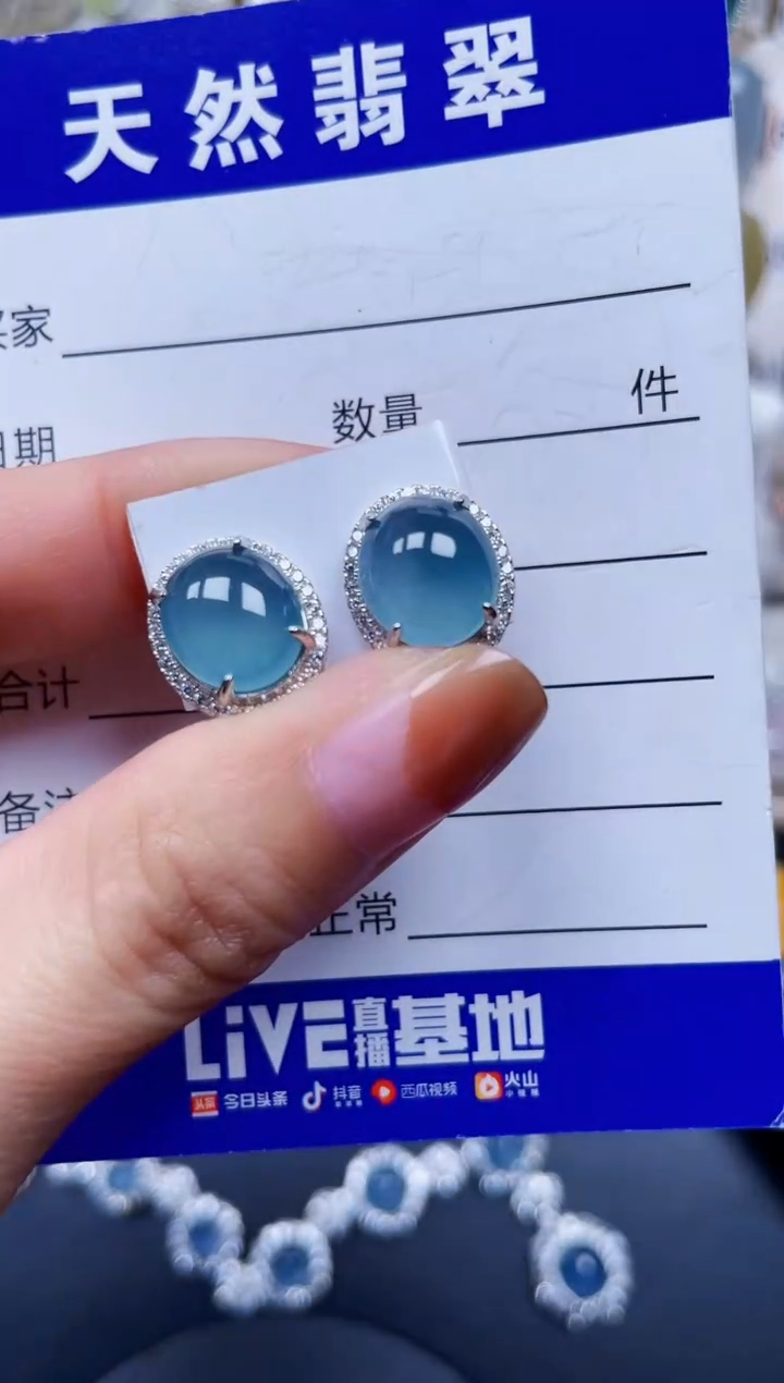 银S925镶嵌翡翠耳饰701