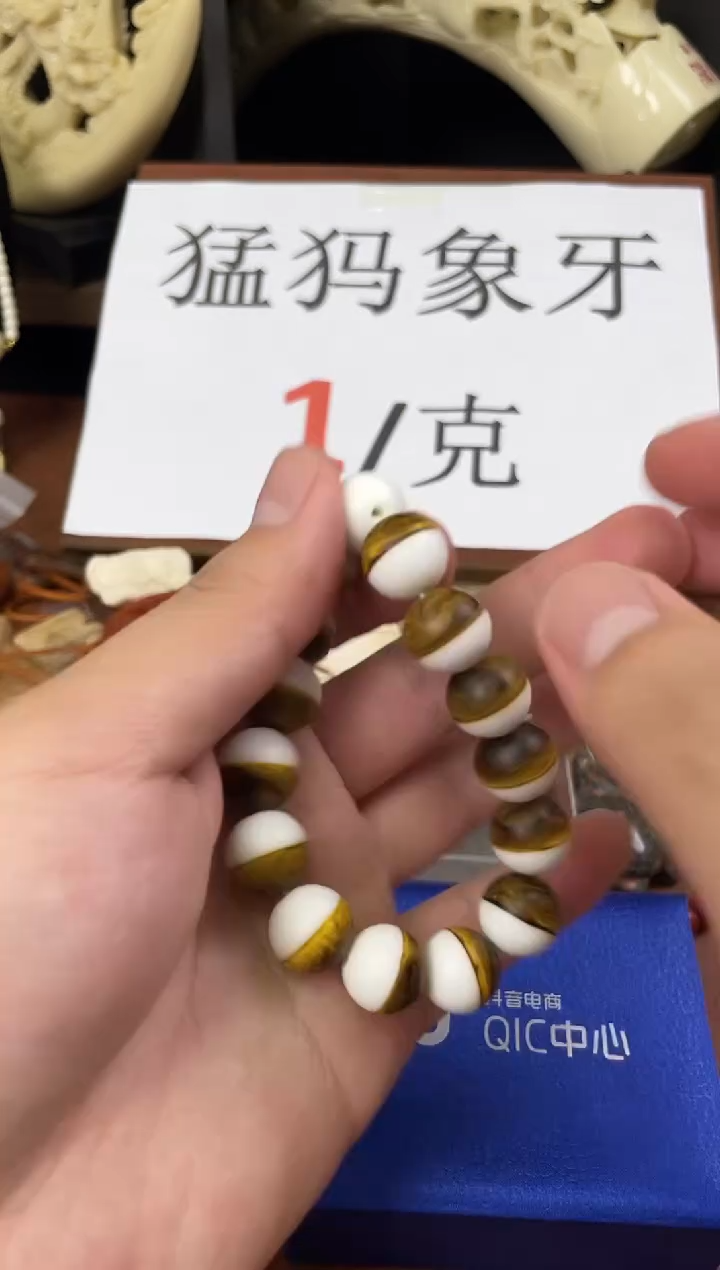 猛犸龙某香14m圆珠单圈