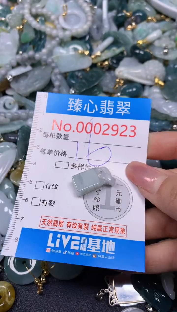 【闪购商品】翡翠颈饰未镶嵌含绳0002923