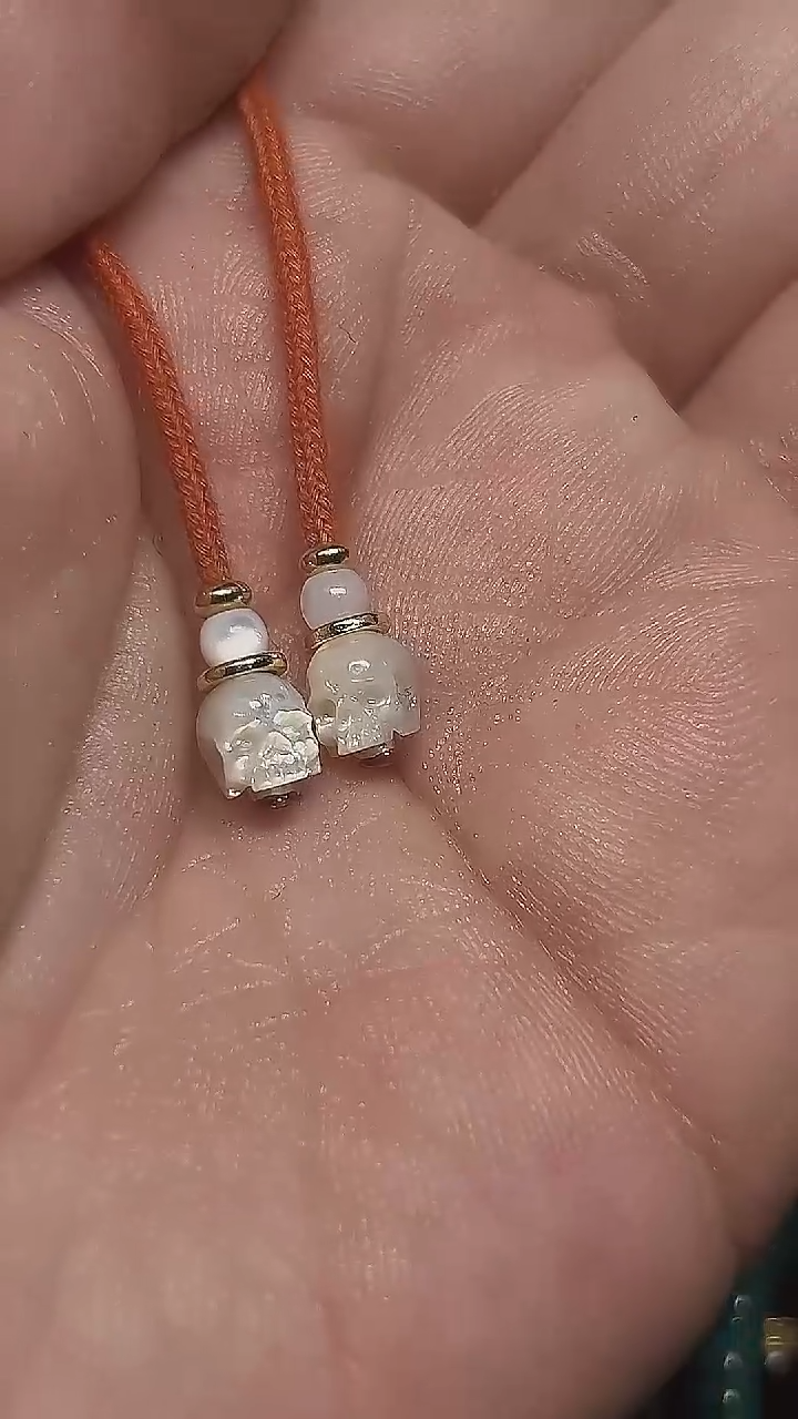 贝壳其他半鄂骷髅弟子珠