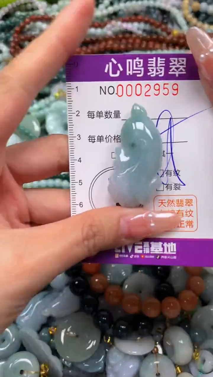 颈饰未镶嵌翡翠闪购002959