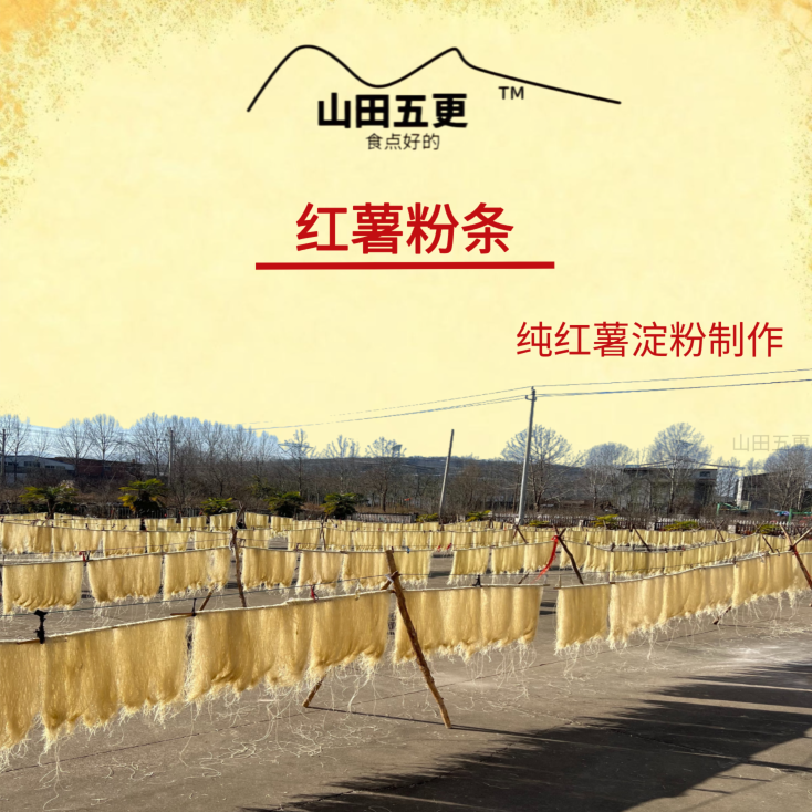 汝阳红薯粉条2025年正宗纯红薯粉条细粉宽粉无矾0添加
