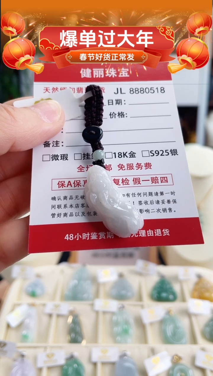 【闪购商品】翡翠颈饰未镶嵌天然缅甸翡翠 貔貅挂饰