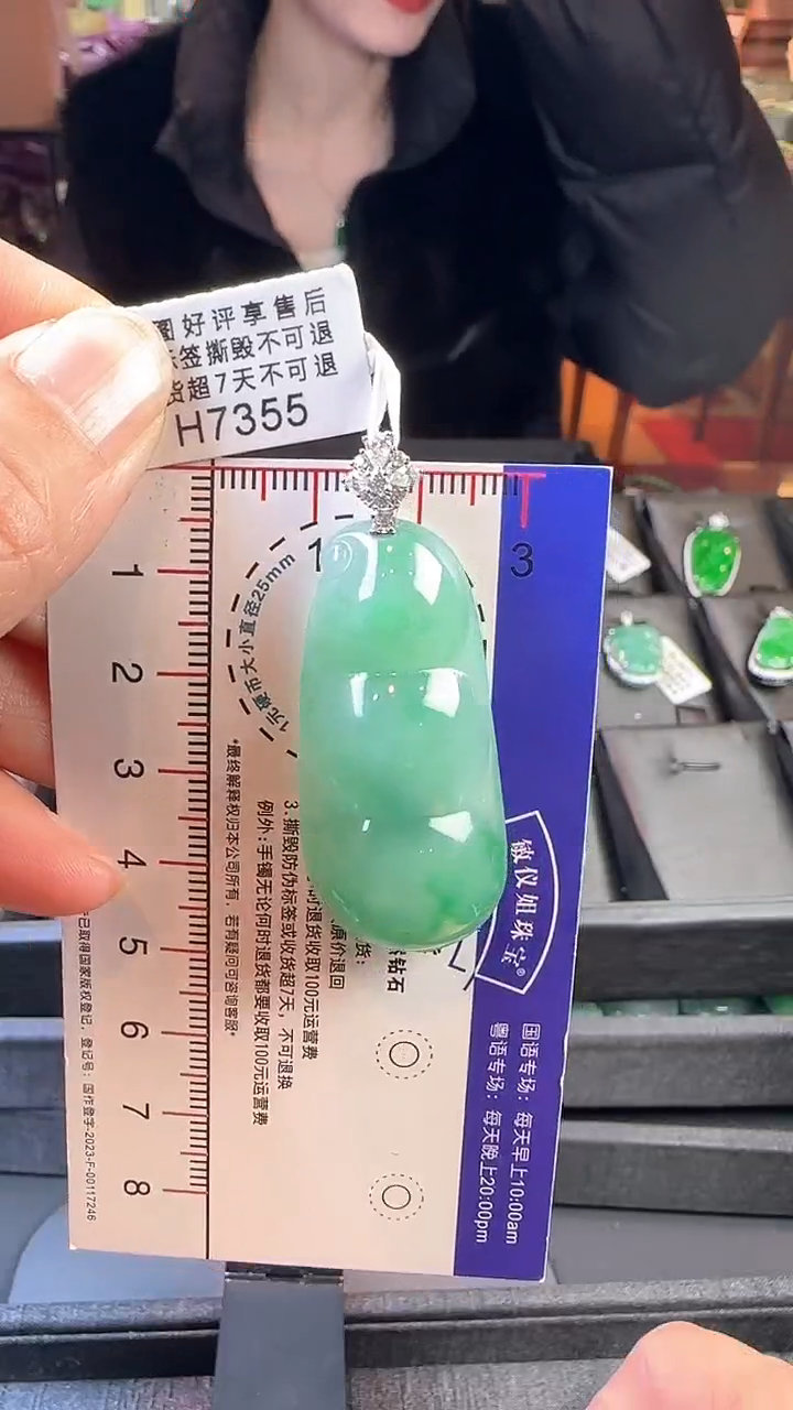 【闪购商品】翡翠颈饰18K金镶嵌H7355绿富贵豆