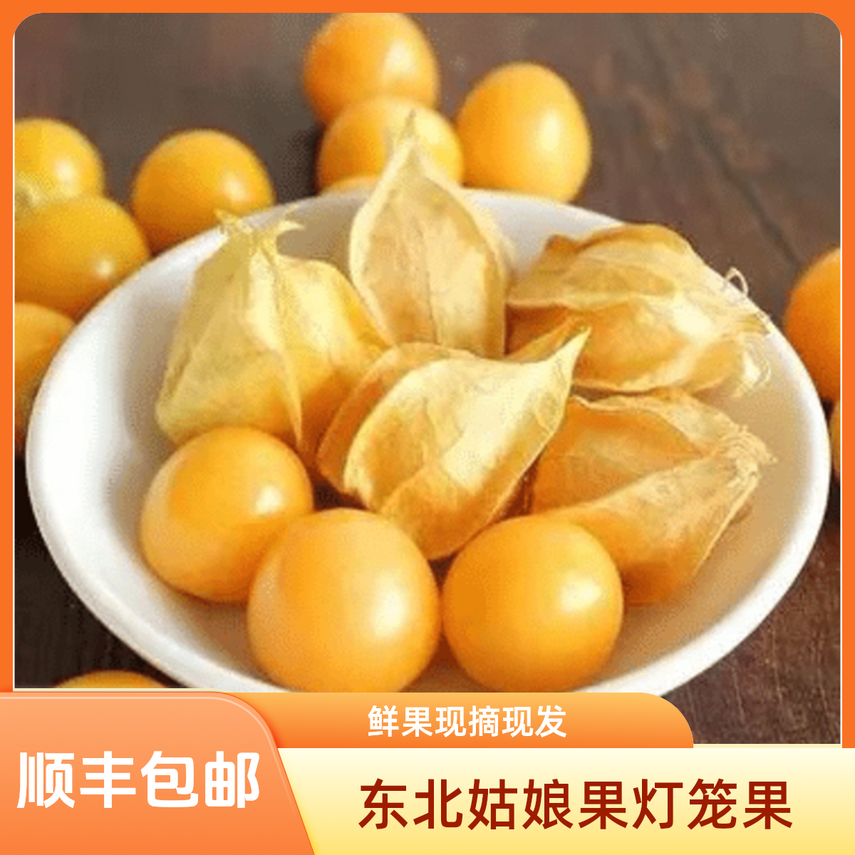 东北姑娘果灯笼果产地直发新鲜采摘现摘现发香甜多汁水果菇娘果