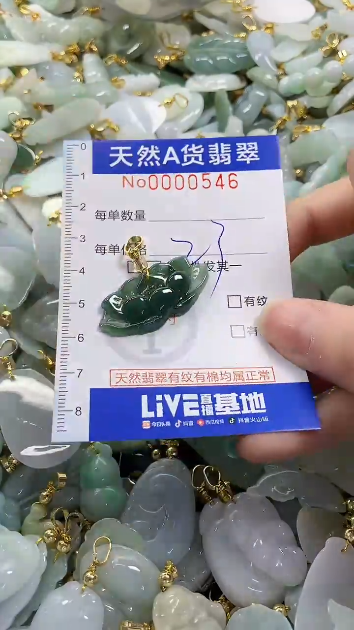 颈饰未镶嵌翡翠纯天然a货翡翠