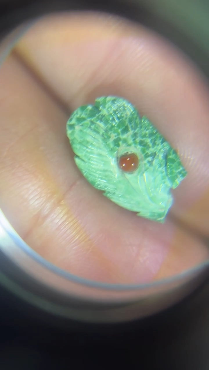 无非金属ls  羽毛  修型