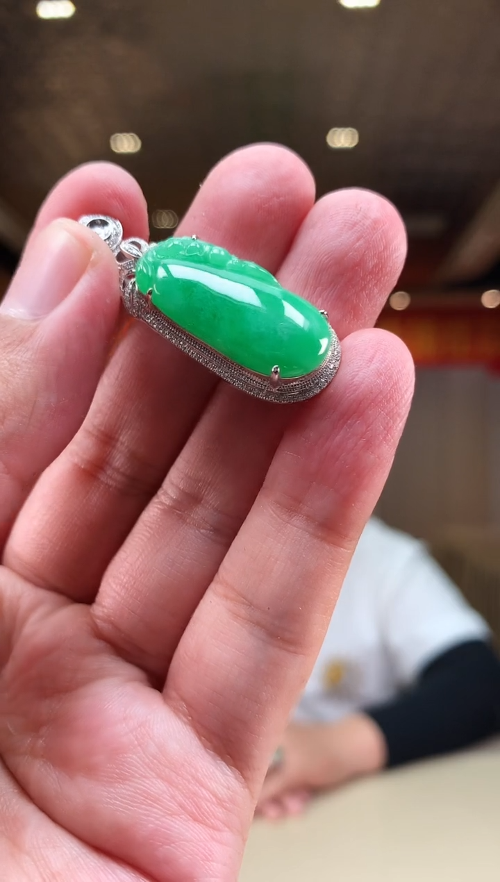 【闪购商品】翡翠颈饰未镶嵌             *361