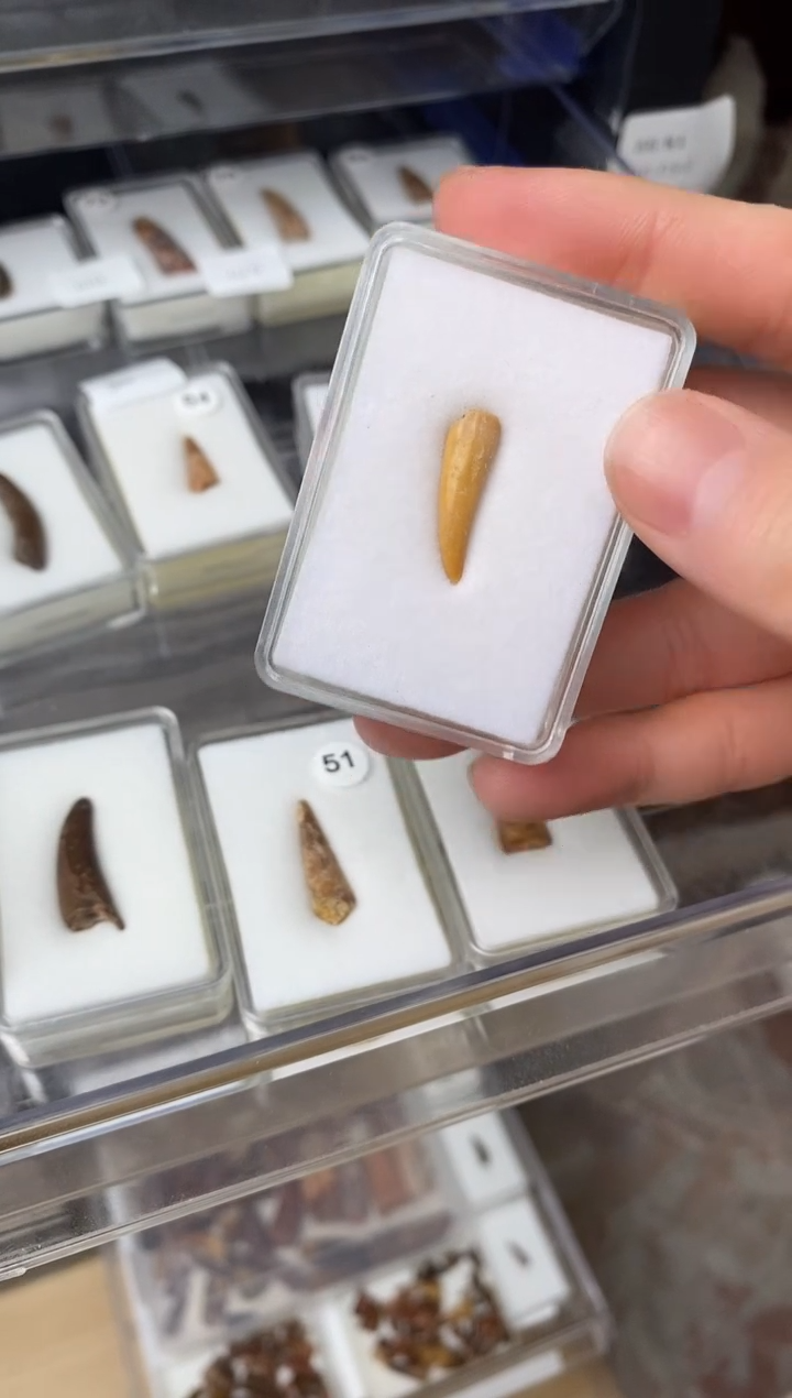 精美摆件创意礼物家居配饰新年礼物个人收藏