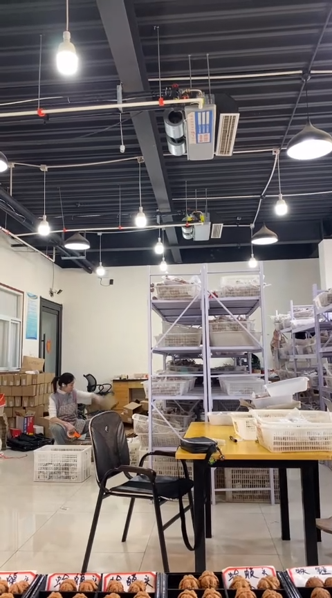 【闪购商品】文玩核桃把件曹大龙40左右（已打底）