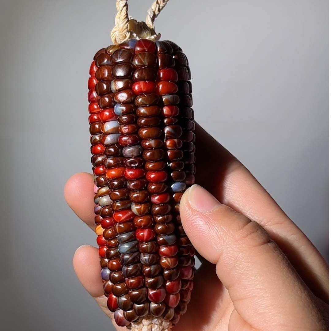 七彩成品宝石陶瓷文玩玉米，一物一拍，私拍不发玉米文玩工艺品挂件