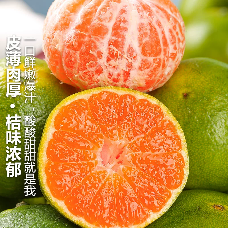 次日达】云南蜜桔蜜橘青皮当季新鲜现货青皮无籽水果酸甜橘云南省云南省