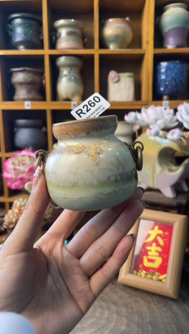 260内口4【多肉花盆多肉盆】