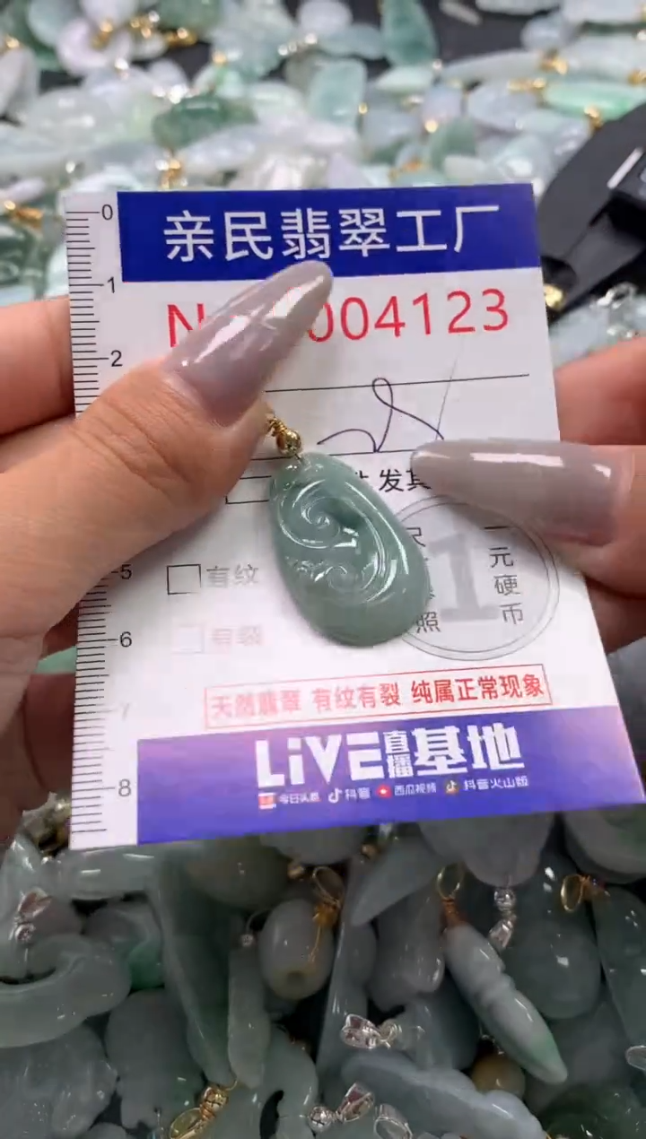 颈饰未镶嵌翡翠4123