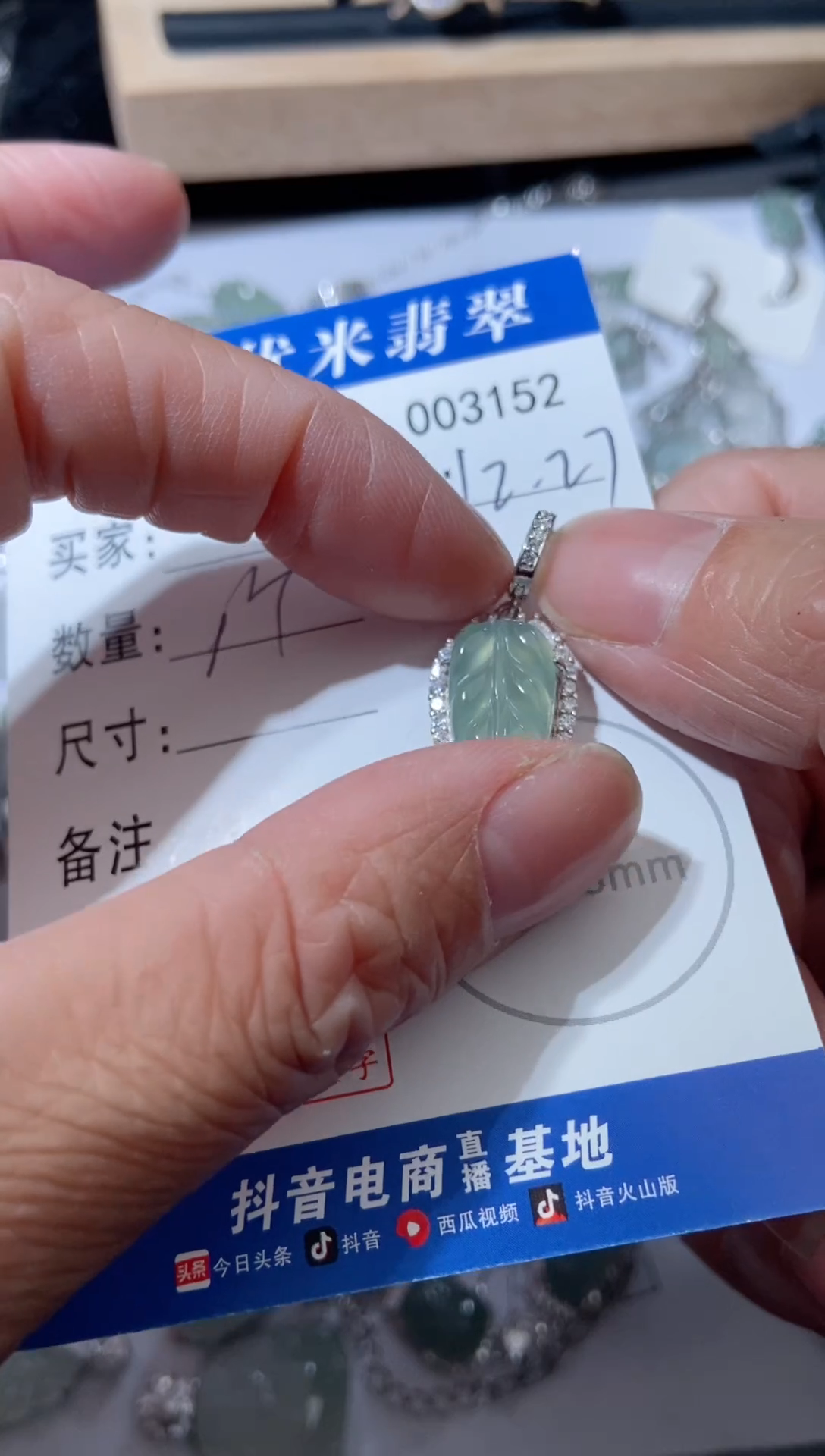 颈饰银S925镶嵌翡翠✨**✨银S925镶嵌