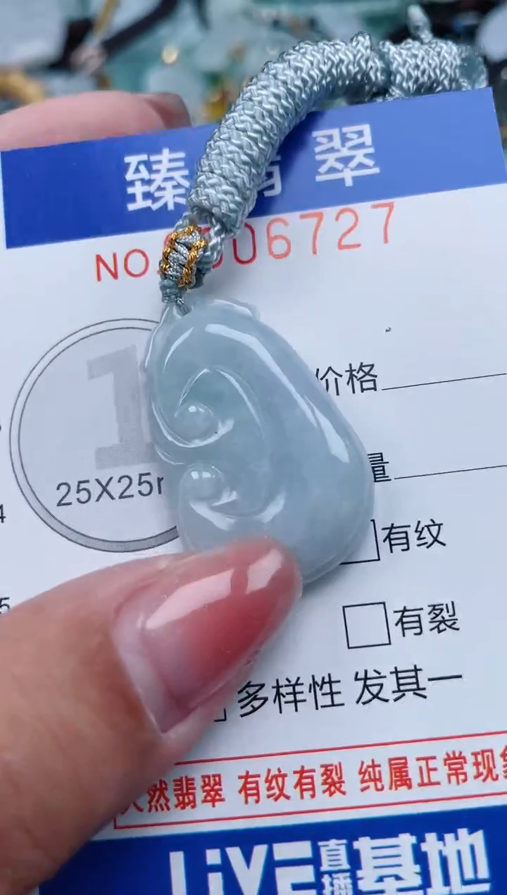 【闪购商品】翡翠颈饰未镶嵌.0006727