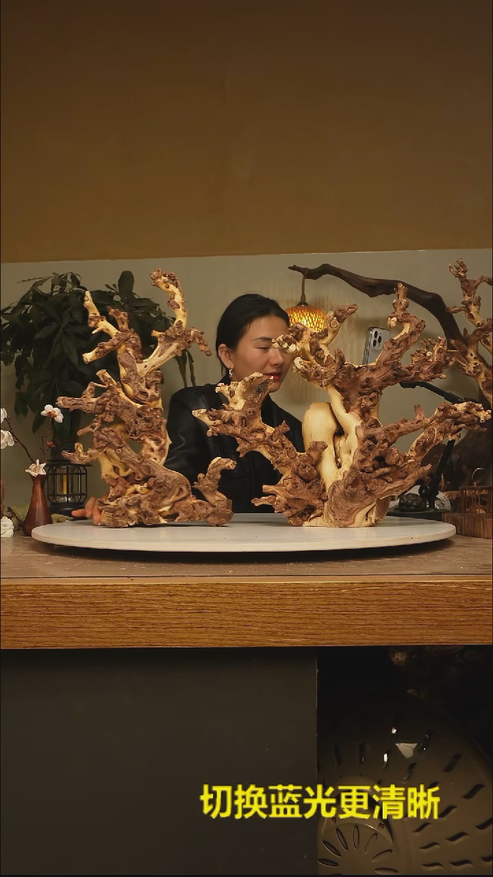 木木头款有**失根雕摆件类738.739