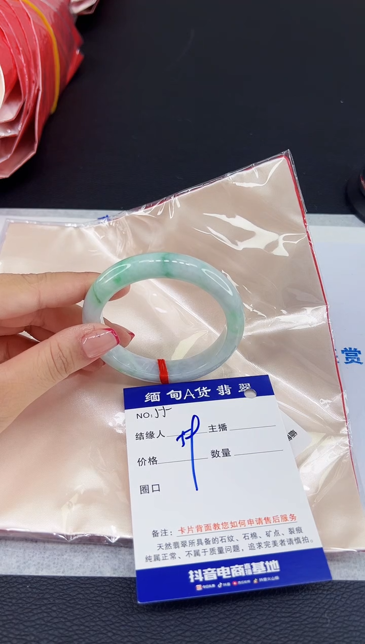 未镶嵌手镯翡翠11111