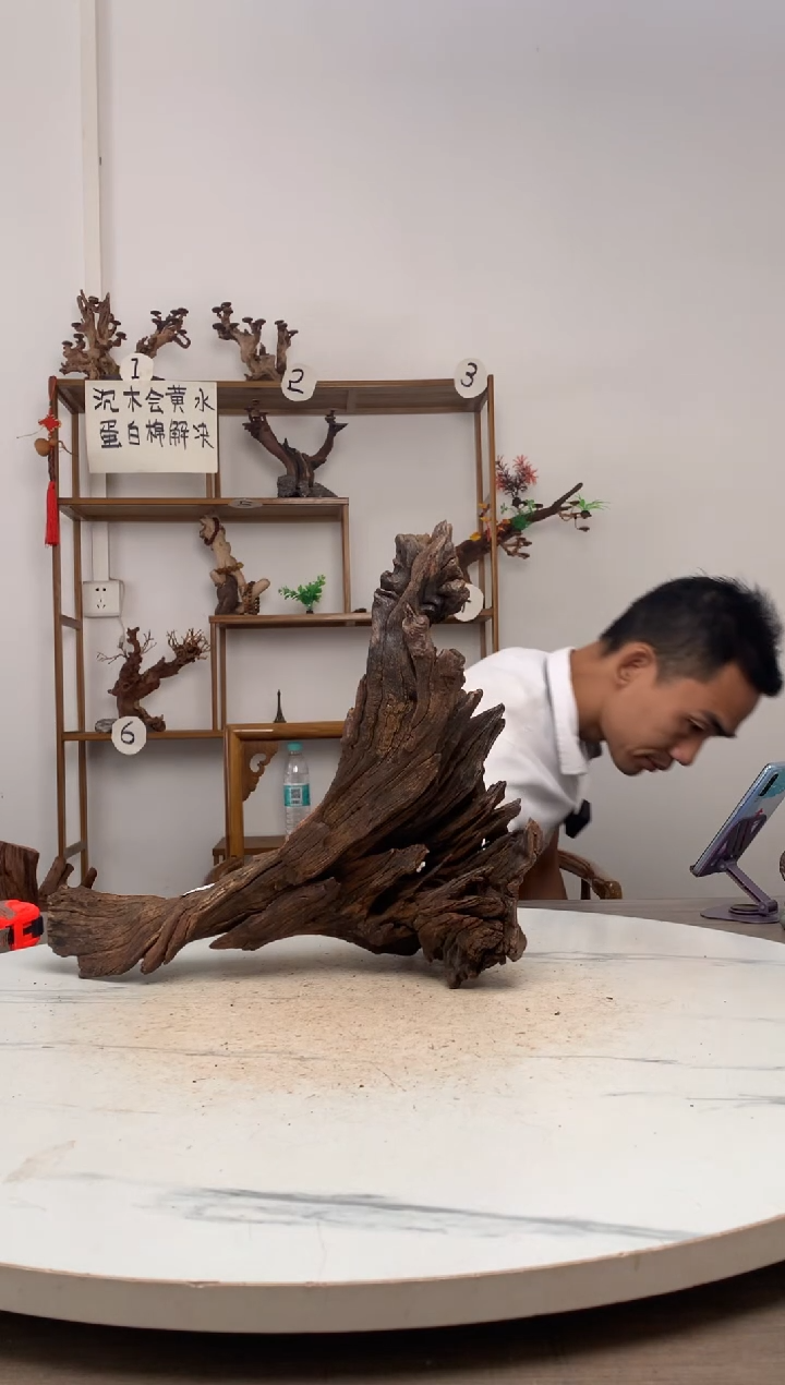 夜**翔鱼缸造景沉木摆件